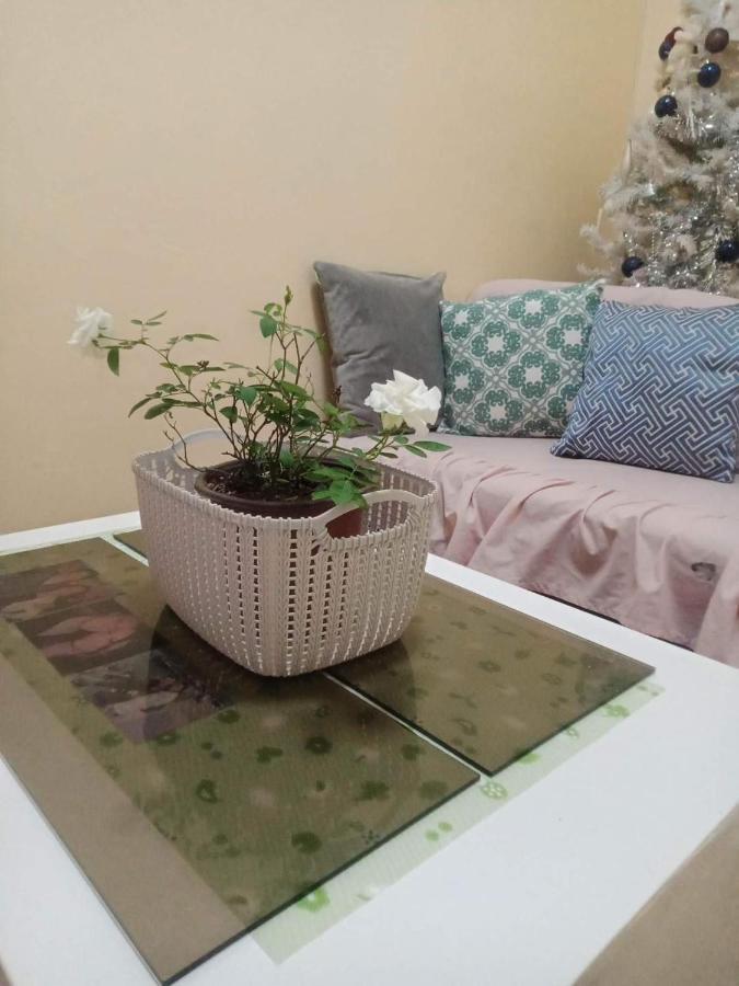 Viner'S Inn Tacloban Kültér fotó