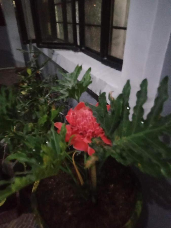 Viner'S Inn Tacloban Kültér fotó